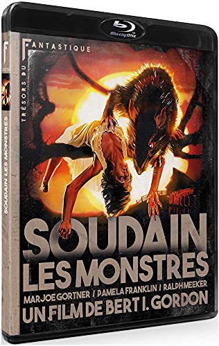 Soudain les monstres [Blu-ray] von MOVINSIDE