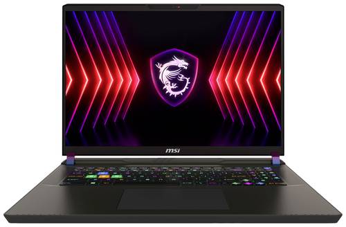 MSI Gaming Notebook Vector 17 HX A13VHG-677 43.2cm (17 Zoll) QHD+ Intel® Core™ i9 i9-13980HX 32GB von MSI