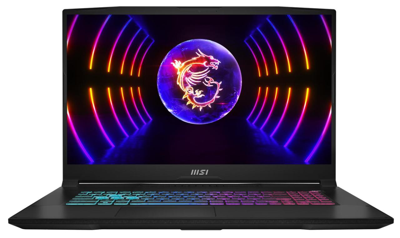 MSI Katana 17 B13VFK-442 Intel Core i7 13620H Notebook 43,9 cm (17.3") von MSI