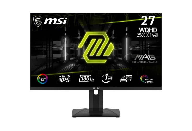 MSI MAG 274QRF QD E2 Gaming-Monitor (69 cm/27 ", 2560 x 1440 px, WQHD, 1 ms Reaktionszeit, 180 Hz) von MSI