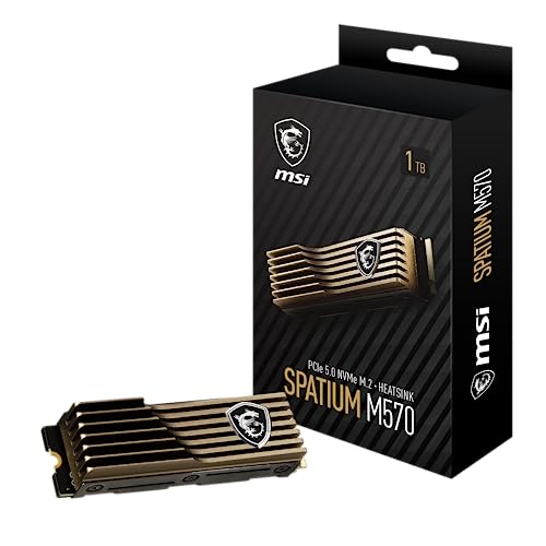 MSI Space M570 SSD 1TB mit Heatsink – interne SSD PCIe 5.0 NVMe M.2, Lesen 9500 MB/s, Schreiben 8500 MB/s, 3D NAND, integrierte Datensicherheit, Center von MSI