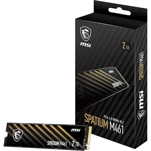 SPATIUM M461 PCIe 4.0 NVMe M.2 2TB SPATIUM M461 PCIe 4.0 NVMe M.2 2TB von MSI