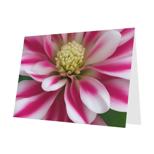MUFLVDX Grußkarte mit rosa und weißen Blumen, für alle Anlässe, mit Umschlägen, Perlen-Papierkarten für Geburtstage, Jubiläen, Weihnachten MUFLVDX Grußkarte mit rosa und weißen Blumen, für alle Anlässe, mit Umschlägen, Perlen-Papierkarten für Geburtstage, Jubiläen, Weihnachten von MUFLVDX