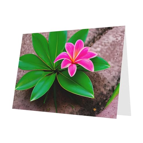 MUFLVDX Grußkarte mit rosafarbenen Blumen und tropischen Pflanzen, für alle Anlässe, mit Umschlägen, Perlen-Papierkarten für Geburtstage, Jubiläen, Weihnachten MUFLVDX Grußkarte mit rosafarbenen Blumen und tropischen Pflanzen, für alle Anlässe, mit Umschlägen, Perlen-Papierkarten für Geburtstage, Jubiläen, Weihnachten von MUFLVDX