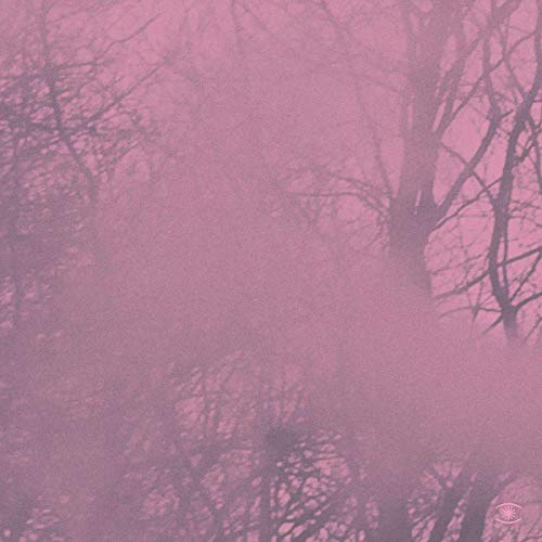 Diagonal Music [Vinyl LP] von MUSIC FOR DREAMS