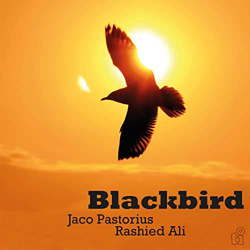 Blackbird [Vinyl LP] von MUSIC ON VINYL