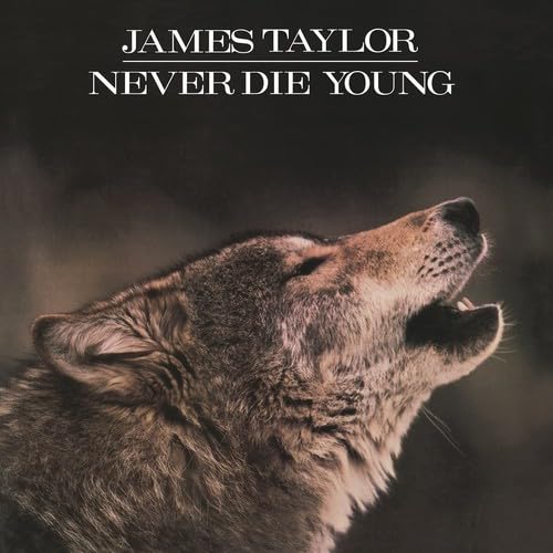 Never die Young [Vinyl LP] von MUSIC ON VINYL