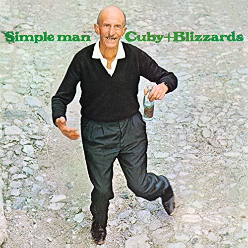 Simple Man [Vinyl LP] von MUSIC ON VINYL