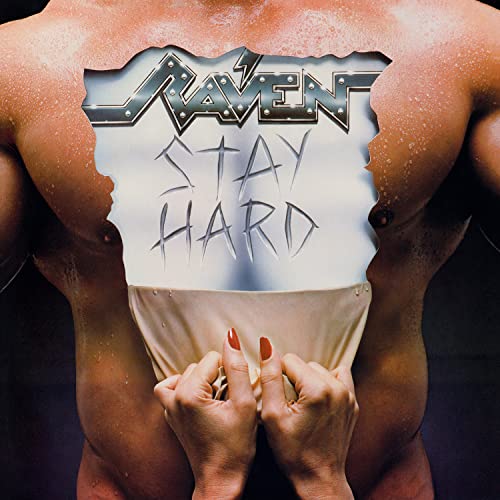 Stay Hard [Vinyl LP] von MUSIC ON VINYL