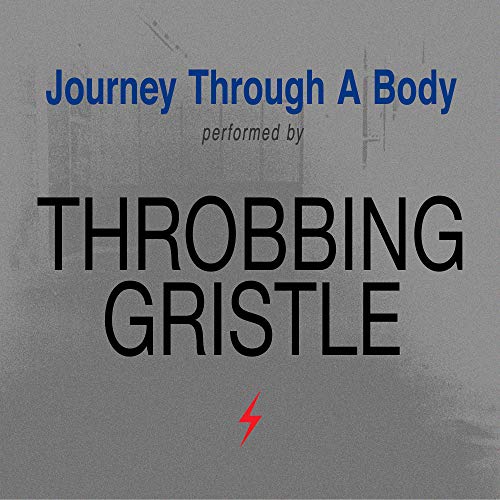 Journey Through a Body von MUTE RECORDS