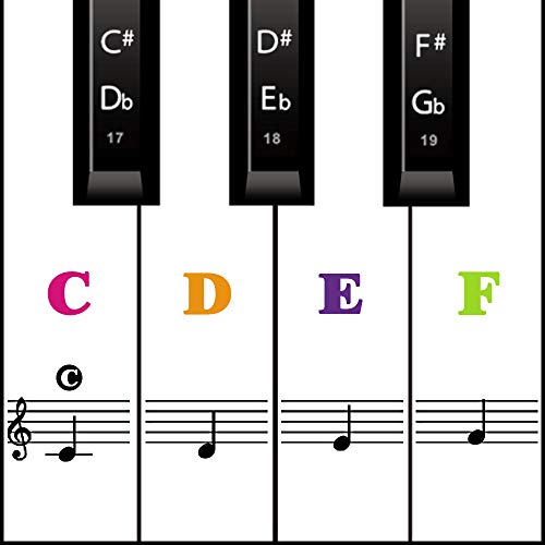 Klavier Keyboard Aufkleber für 54/61 / 76/88 Tasten Noten Piano Sticker für weiße & schwarze Tasten Transparent und abnehmbar (Farbe) von MUYOS