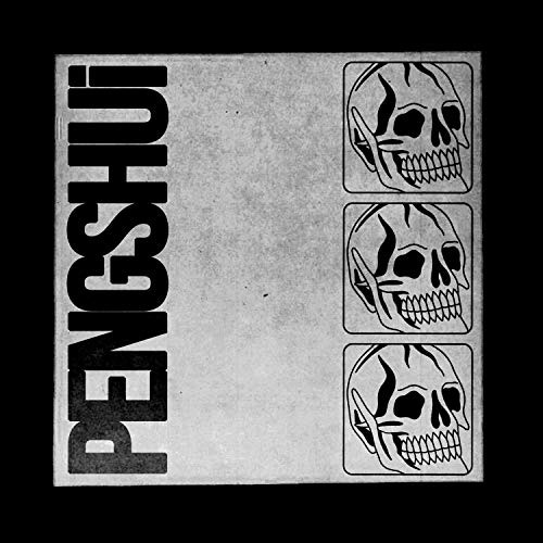 PENGSHUi [VINYL] [Vinyl LP] von MVKA