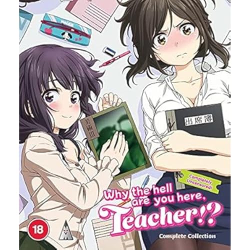 Why The Hell Are You Here, Teacher!? Collection BLU-RAY [2021] von MVM Entertainment