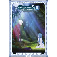 Is It Wrong To Pick Up Girls In A Dungeon S3 Collector's Edition von MVM