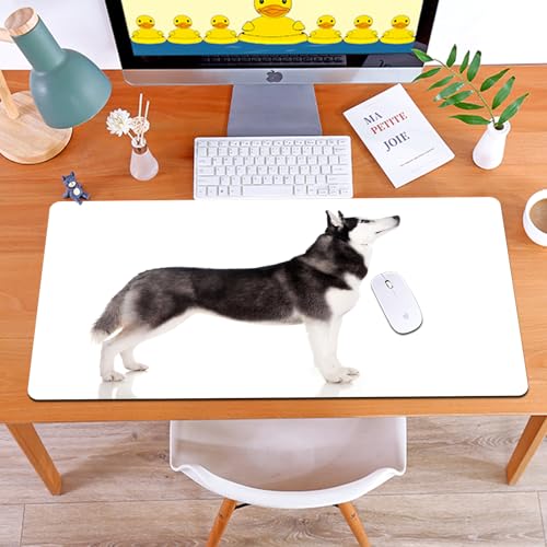 MYAUEYSU Gaming 40x75cm Premium Groß vernähte Kanten langlebig mit high-end Glide und Anti-Rutsch Speed Gaming Mauspad,Alaskan Malamute, Alaskan Tier Arktis Hund Säugetier Gehorsam Begleiter Por MYAUEYSU Gaming 40x75cm Premium Groß vernähte Kanten langlebig mit high-end Glide und Anti-Rutsch Speed Gaming Mauspad,Alaskan Malamute, Alaskan Tier Arktis Hund Säugetier Gehorsam Begleiter Por von MYAUEYSU