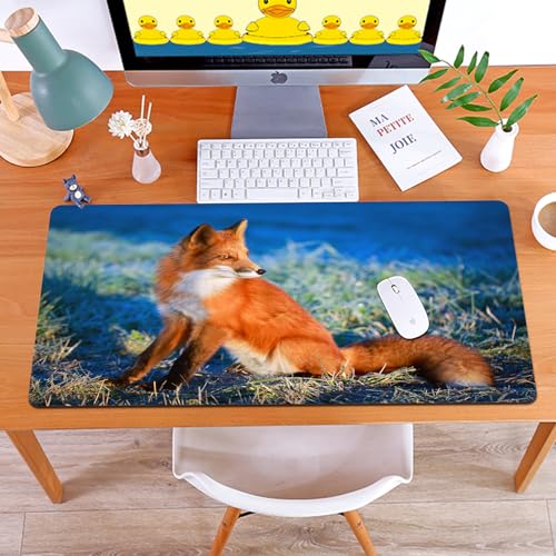 MYAUEYSU Gaming 40x75cm Premium Groß vernähte Kanten langlebig mit high-end Glide und Anti-Rutsch Speed Gaming Mauspad,Herbstfeld im kalten Morgen mit Fuchs Natur Gras MYAUEYSU Gaming 40x75cm Premium Groß vernähte Kanten langlebig mit high-end Glide und Anti-Rutsch Speed Gaming Mauspad,Herbstfeld im kalten Morgen mit Fuchs Natur Gras von MYAUEYSU