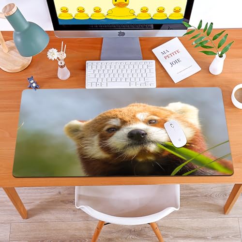 MYAUEYSU Gaming 40x75cm Premium Groß vernähte Kanten langlebig mit high-end Glide und Anti-Rutsch Speed Gaming Mauspad,Schielen Tier Niedlichen Roten Panda Ailurus Fulgens Essen Und Blick Auf Ba MYAUEYSU Gaming 40x75cm Premium Groß vernähte Kanten langlebig mit high-end Glide und Anti-Rutsch Speed Gaming Mauspad,Schielen Tier Niedlichen Roten Panda Ailurus Fulgens Essen Und Blick Auf Ba von MYAUEYSU