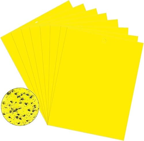 20 Stück Gelbsticker Trauermücken,Klebrige Insektenfallen, Beidseitig Fliegenfänger Sticker für Weiße Fliegen, Blattläuse, Blatt Bergmann, Motten andere Insekten,15cm x 20cm von MYAYD