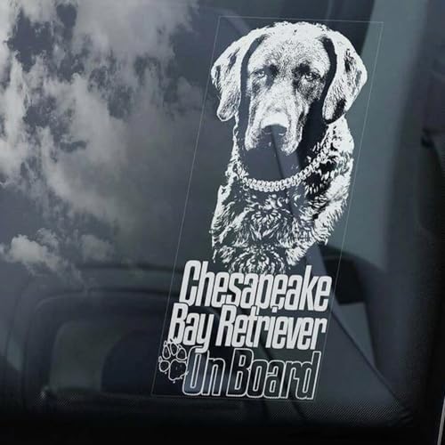 Madcolitote Chesapeake Bay Retriever on Board Auto-Fensteraufkleber, Chessie CBR, Hundeschild, Vinyl, gestanzt, lustiger Stoßstangen-Aufkleber, Geschenk für Hunde und Haustiere von Madcolitote