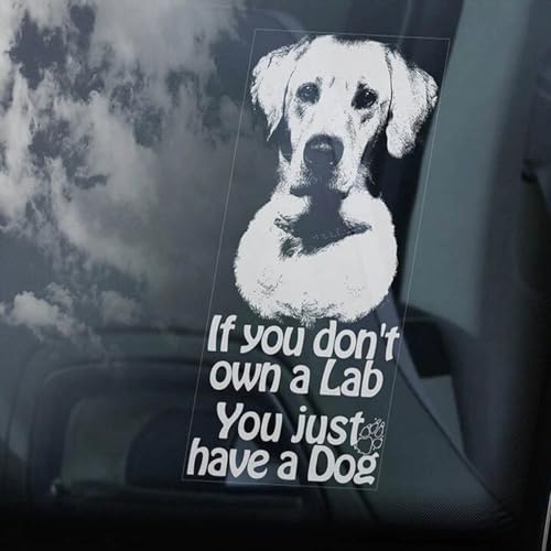 Madcolitote Labrador-Auto-Fensteraufkleber "If You Don't Own A Lab, You Just Have A Dog!" Hundeschild, Vinyl, gestanzt, lustige Stoßstangen-Aufkleber, Tier-Geschenk Madcolitote Labrador-Auto-Fensteraufkleber "If You Don't Own A Lab, You Just Have A Dog!" Hundeschild, Vinyl, gestanzt, lustige Stoßstangen-Aufkleber, Tier-Geschenk von Madcolitote