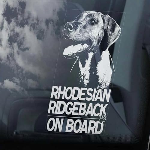 Madcolitote Rhodesian Ridgeback on Board Auto-Fensteraufkleber, afrikanischer Löwe, Hund, Aufkleber, Vinyl, gestanzt, lustiger Stoßstangen-Aufkleber, Geschenk für Hunde und Haustiere von Madcolitote