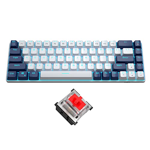 60 % Gaming-Tastatur, mechanisch, minimalistisch, MK-Box, blaue Hintergrundbeleuchtung, kompakt, 68 Tasten, kabelgebunden, Büro-Tastatur mit rotem Schalter,Xbox (roter Schalter, blau und weiß) von MageGee