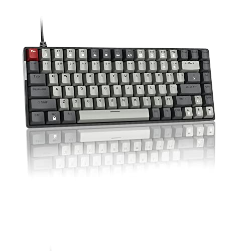 75 % mechanische Tastatur, MageGee kabelgebundene Gaming-Tastatur mit roten Schaltern und eisblauer Hintergrundbeleuchtung, kleine, kompakte 75 % Tastatur, Gamer für PC, Mac (schwarz/grau) von MageGee