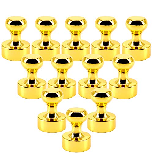 Neodym Magnete N52 - Kegelmagnete 12mm x 16mm - Kegel Magnet für Kühlschrank, Magnettafel, Pinnwand, Whiteboard - Edelstahl Magnetkegel [12 Stück - Gold] von Magnet-Kauf
