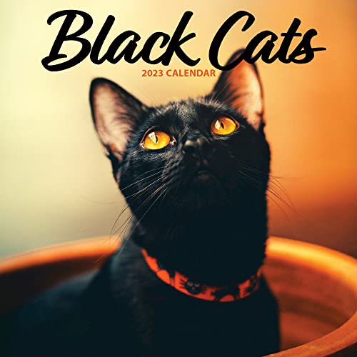 Black Cat Kalender 2023 von Magnet & Steel