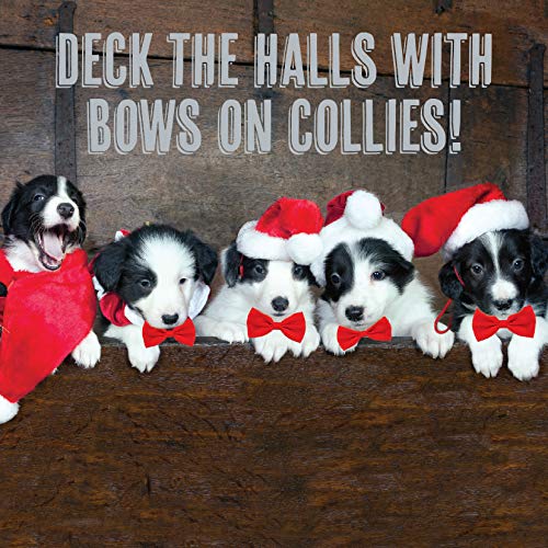 Deck The Halls with Bows On Collies von Magnet & Steel