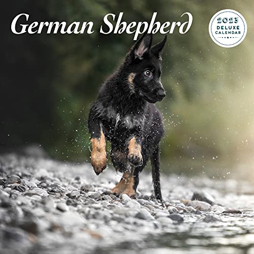 Deutscher Schäferhund 2023 Deluxe-Kalender von Magnet & Steel