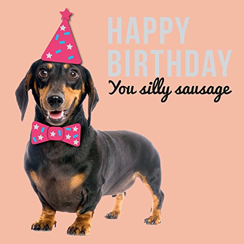 Happy Birthday you Silly Wurst – Geburtstagskarte von Magnet & Steel