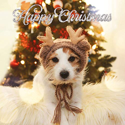 Jack Russell Wonderfull Geweih Jack Russell Wonderfull Geweih von Magnet & Steel
