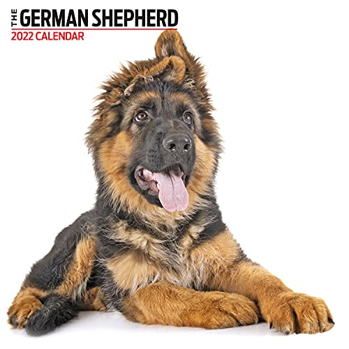 MAGNET & STEEL German Shepherd Modern Kalender von Magnet & Steel