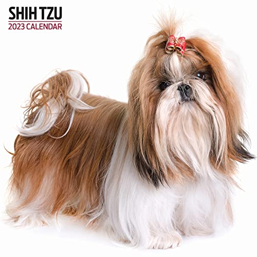 Magnet & Steel Shih Tzu Moderner Kalender 2023, Mehrfarbig von Magnet & Steel