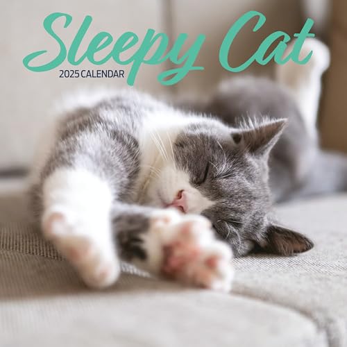 Sleepy Cat Kalender 2025 von Magnet & Steel