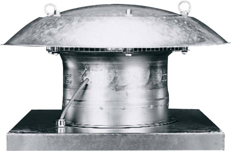 Maico Axial-Dachventilator DZD 25/4 B Ex e 0087.0796 von Maico