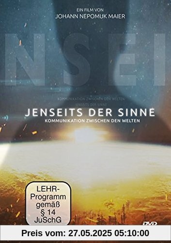 Jenseits der Sinne - Kommunikation zwischen den Welten von Maier, Johann Nepomuk