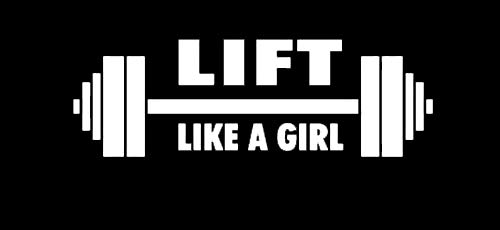 Makarios LLC Lift Like a Girl Workout Cars Trucks Vans Walls Laptop MKR - Weiß - 5,5x1,75 - MKR746 von Makarios LLC