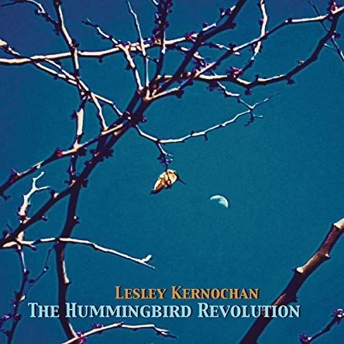 The Hummingbird Revolution [Vinyl LP] von Make My Day / Indigo