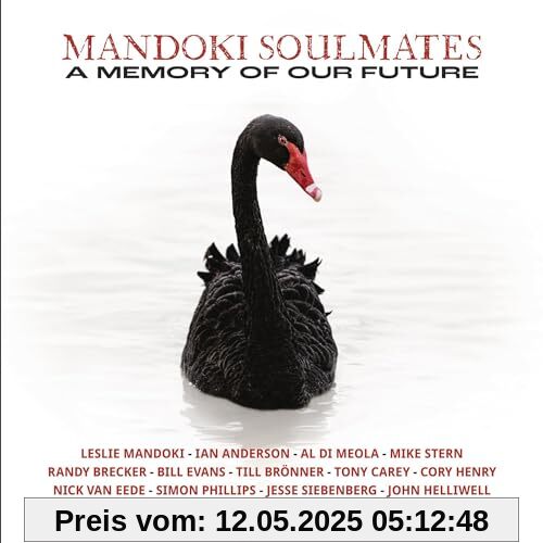 A Memory of Our Future [Vinyl LP] von Mandoki Soulmates