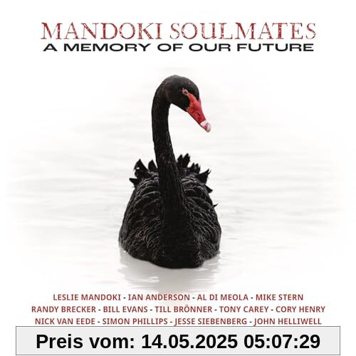 A Memory of Our Future A Memory of Our Future von Mandoki Soulmates