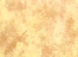 Lastolite Hintergrund (gefleckt mit Schleppe) von Lastolite