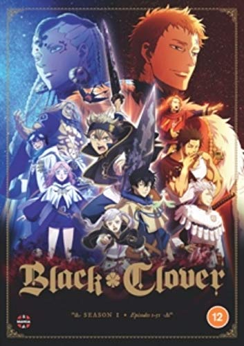 Black Clover: Complete Season One - DVD von Manga Entertainment