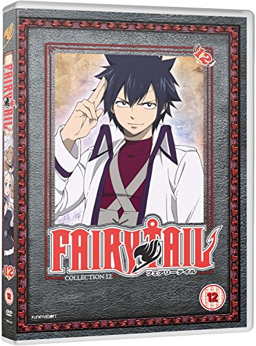 Fairy Tail - Part 12 [DVD] von Manga Entertainment