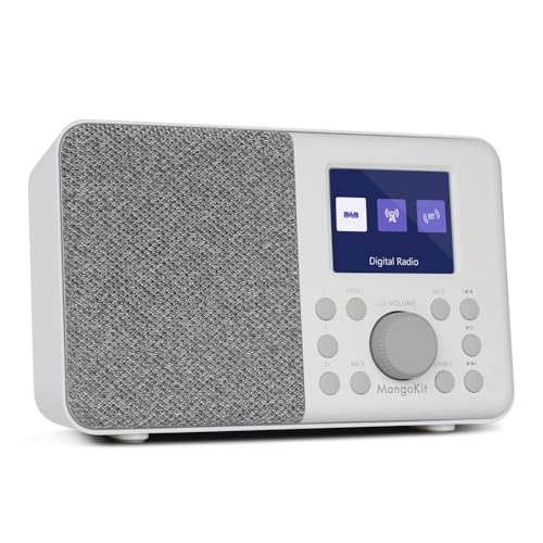 MangoKit MD3 DAB/DAB+ und UKW Tragbares Digitalradio, Bluetooth-Lautsprecher, Kopfhörer, 40 voreingestellte Sender, Wecker und Uhr, Snooze-Timer, Farbdisplay, Batterien und Netzbetrieb (Steingrau) von MangoKit