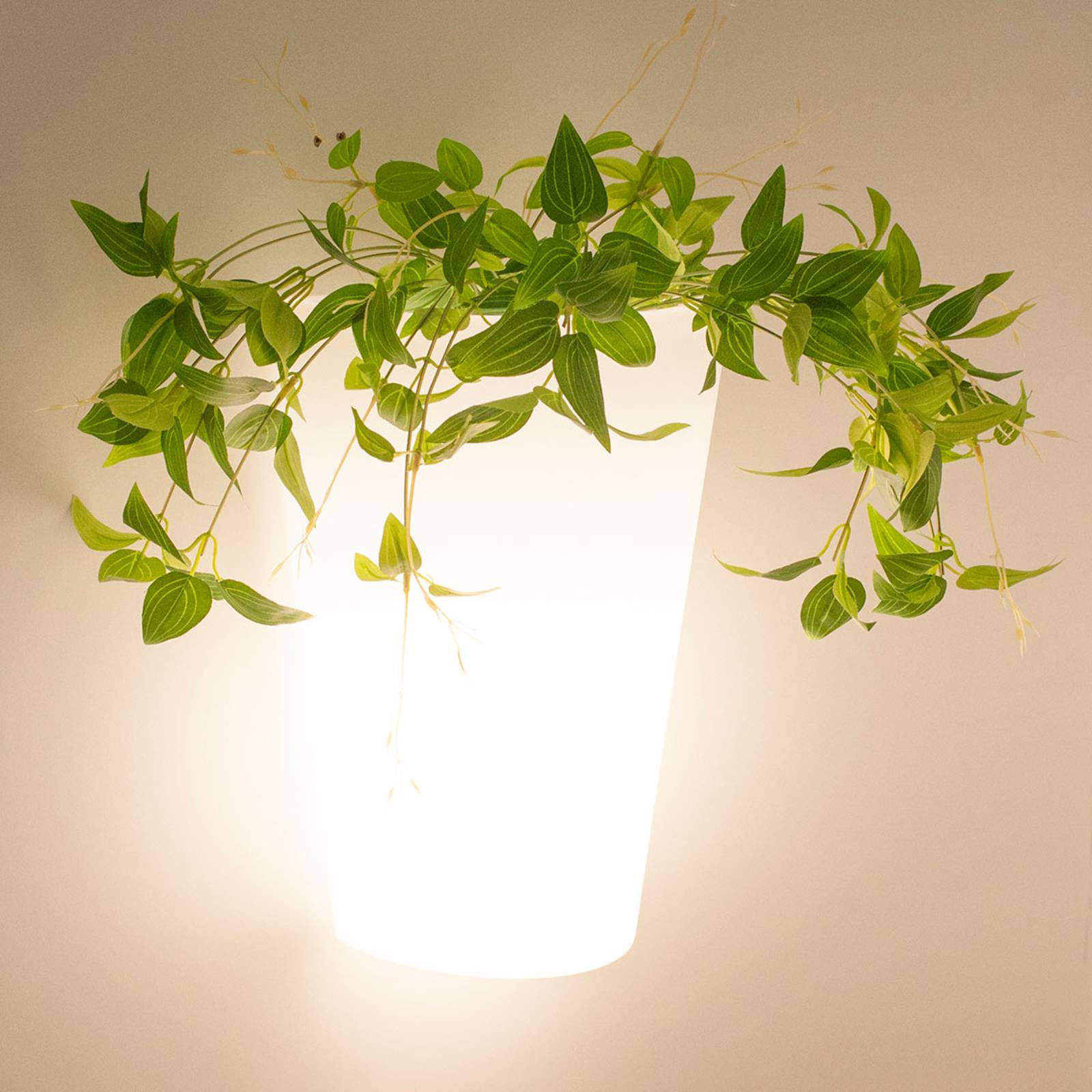 Außenwandlampe Teja - ein leuchtendes Pflanzgefäß von Mantra Iluminación
