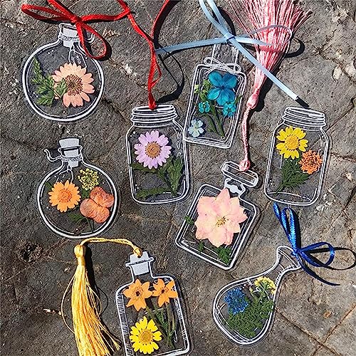 20pcs Transparente Getrocknete Blumenhesezeichen -Glaswarenaufkleber, Exquisite Dekoration für Lesebegeisterte, Ideal für Eltern-Kind-Aktivitäten (Typ 2) von Marhynchus