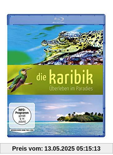 Die Karibik - Überleben im Paradies (Zweiteiler) [Blu-ray] von Marion Pöllmann