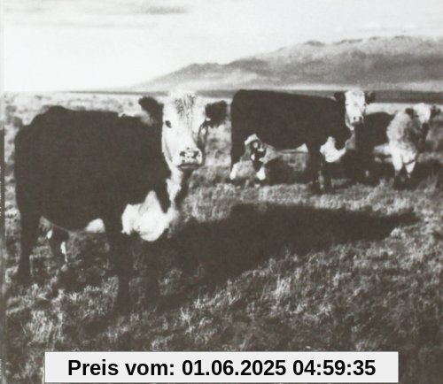 The Finally Lp von Mark Kozelek